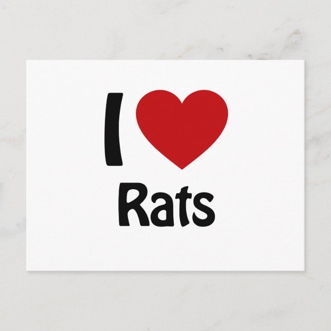 I love Rats Postcard (Front)