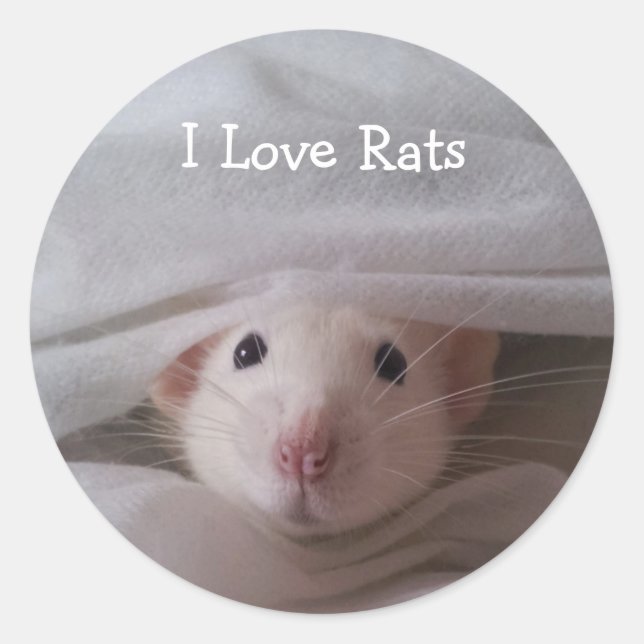 I Love Rats Stickers (Front)