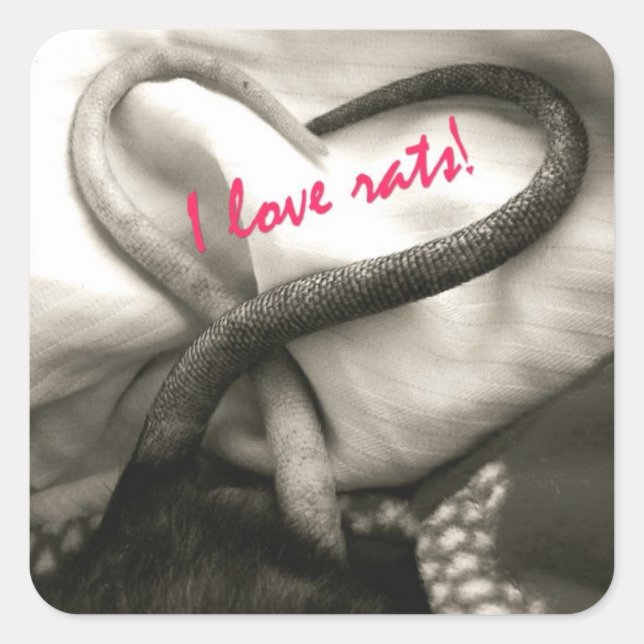 I LOVE Rats stickers (Front)