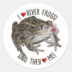 I Love River Frogs Classic Round Sticker