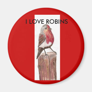 , I LOVE ROBINS Magnet