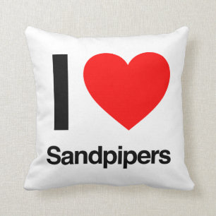 i love sandpipers cushion