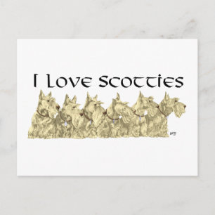 I Love Scotties - Wheaten Scottie Line-up Postcard