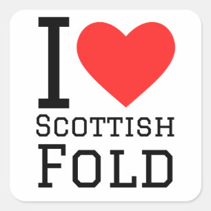 I love Scottish fold Square Sticker