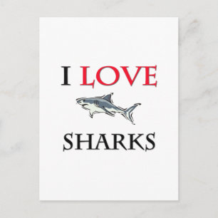 I Love Sharks Postcard