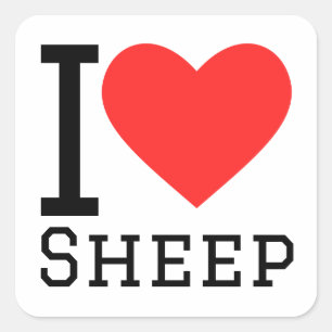 I love sheep  square sticker