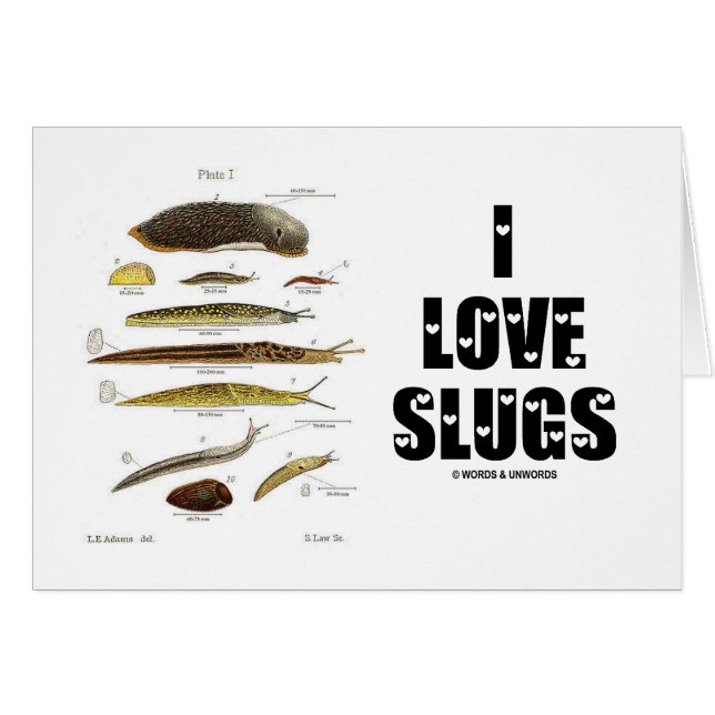 I Love Slugs (Naturalist / Nature) (Front Horizontal)