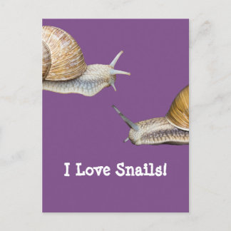 I Love Snails Snail Design Postcard
