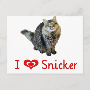 I love Snicker Postcards