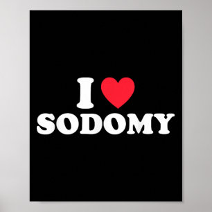 I Love Sodomy Funny Design Poster