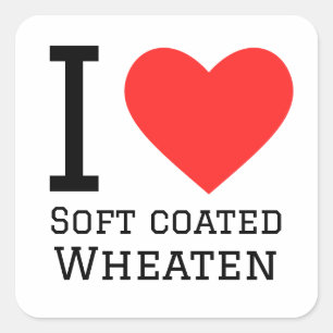 I love soft coated wheaten square sticker