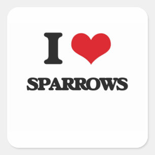 I love Sparrows Square Sticker