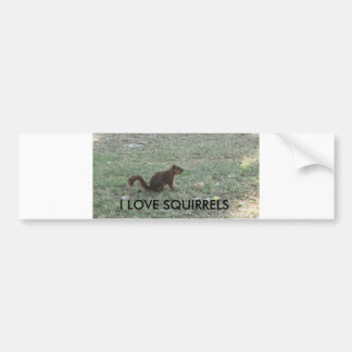 I LOVE SQUIRRELS BUMPER STICKER
