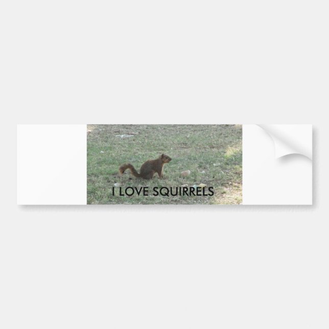 I LOVE SQUIRRELS BUMPER STICKER (Front)