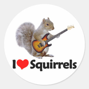 I Love Squirrels Classic Round Sticker