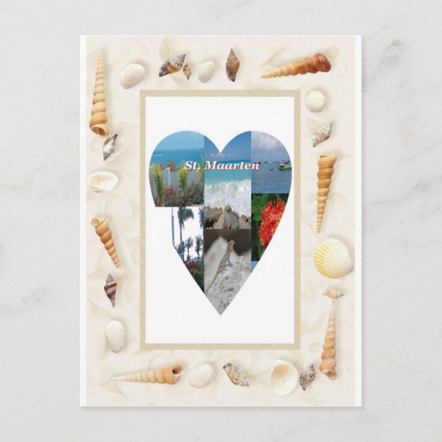 I love St. Maarten Shells Heart -.Celeste Sheffey Postcard (Front)