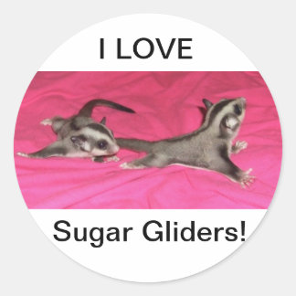 I LOVE Sugar gliders! STICKER