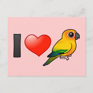 I Love Sun Conures Postcard