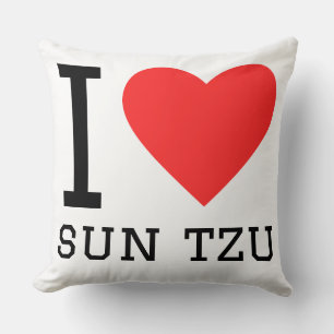 I love sun tzu cushion