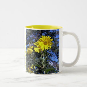 I LOVE  SUNFLOWERS MUG PICS x2