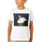 I LOVE SWANS