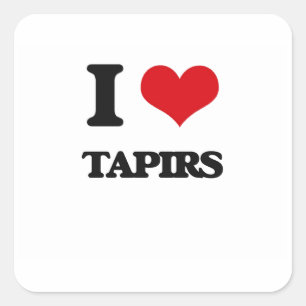 I love Tapirs Square Sticker