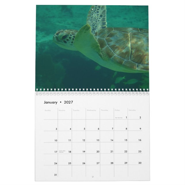 I Love the Caribbean Calendar (Jan 2027)