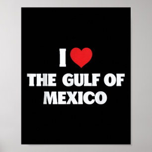 I Love The Gulf Of Mexico Usa Funny Meme  Poster