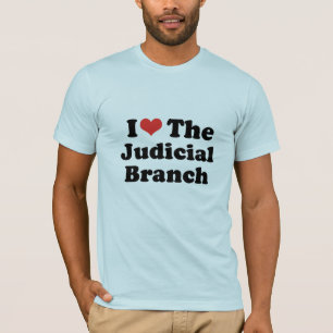 I LOVE THE JUDICIAL BRANCH - .png T-Shirt