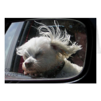 I love the wind and rain in my hair...