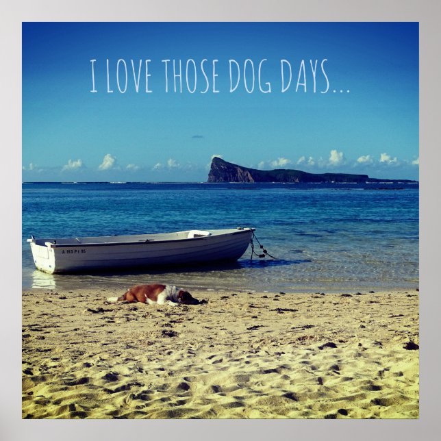 I love those Dog Days... Poster (Front)