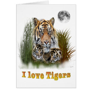 I love Tigers