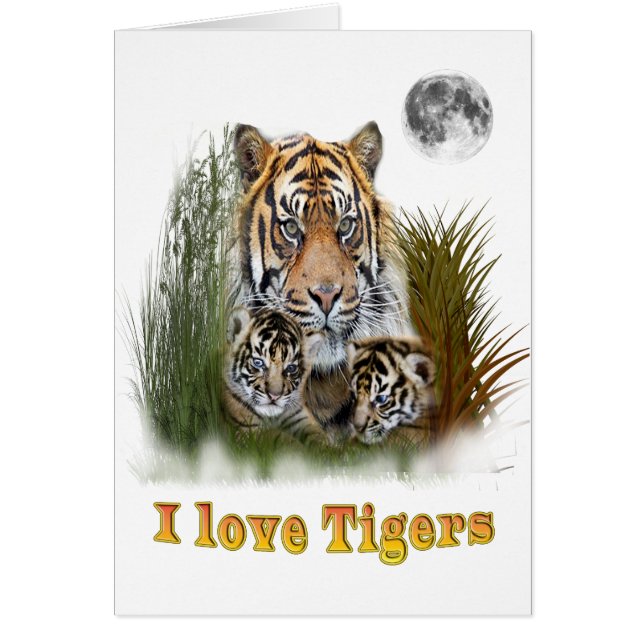 I love Tigers (Front)