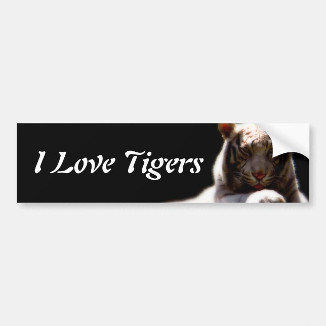 I Love Tigers Bumper Sticker (Front)