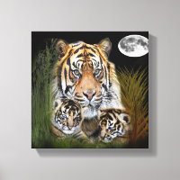 I love Tigers