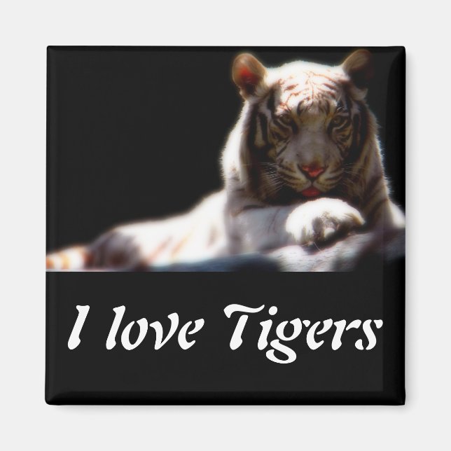I Love Tigers Magnet (Front)