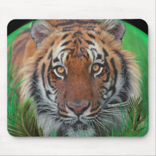 I love Tigers Mouse Mat