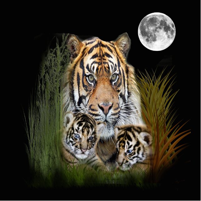 I love Tigers Photo Sculpture Key Ring (Front)