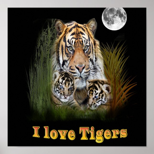 I love Tigers Poster (Front)