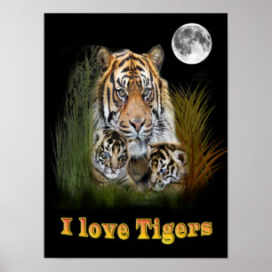 I love Tigers Poster