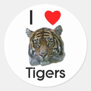 I love tigers Sticker