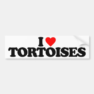 I LOVE TORTOISES BUMPER STICKER