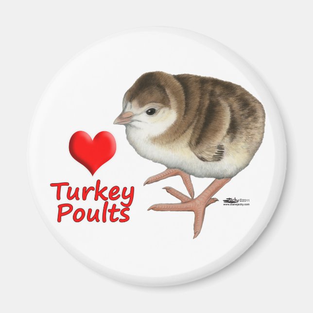 I Love Turkey Poults! Magnet (Front)