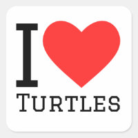 I love turtles
