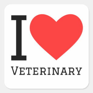 I love veterinary square sticker