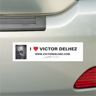 I love Victor Delhez bumper car magnet