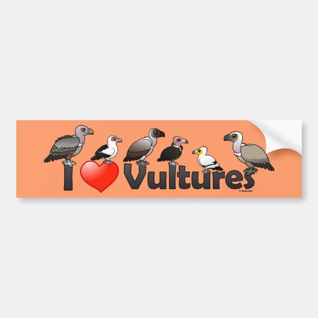 I Love Vultures (Africa) Bumper Sticker (Front)