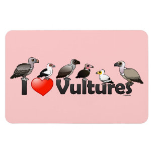 I Love Vultures (Africa) Magnet