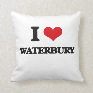 I love Waterbury Cushion
