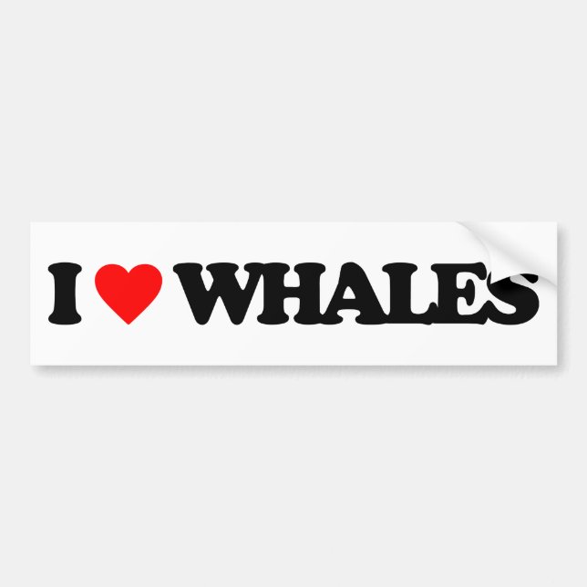 I LOVE WHALES BUMPER STICKER (Front)
